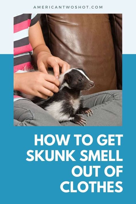 The smell of skunk on clothes can be overpowering and unpleasant. Don't worry, we have the ultimate solution. Our latest blog post is a step-by-step guide on how to get that funky skunk smell out of your clothes. How To Get Skunk Smell Out Of Clothes, Skunk Smell Out Of Clothes, How To Get Rid Of Skunk Smell In House, Skunk Spray Remedy, Skunk Smell In House, Skunk Smell Remover, Getting Rid Of Skunks, White Skunk, Smelly Clothes