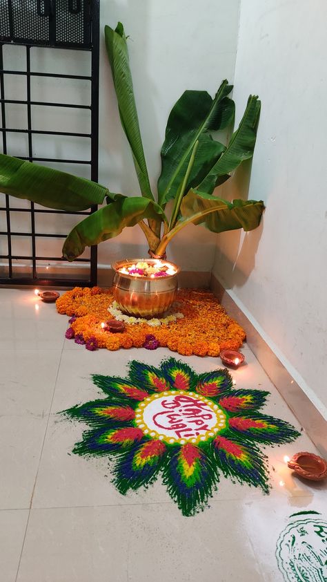 During Diwali everyone wants to decorate their house. This is an idea how you can decorate your corridor corner with flowers and colours. Corridor Decoration, Decoration With Flowers, Diwali Decoration, Diwali Decorations, Diwali, Projects To Try, Plants, Flowers