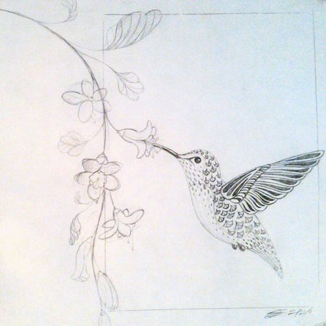 Stylized drawing of a hummingbird drinking from flowers. Pencil, sketch, art, nature, vine, bird. By Shalom Schultz Designs. Drawings Of Hummingbirds, Hummingbird Sketch, Stylized Drawing, Hummingbird Wings, Hummingbird Drawing, Pencil Drawings Of Flowers, Small Bird Tattoo, Bird Sketch, Bird Drawing