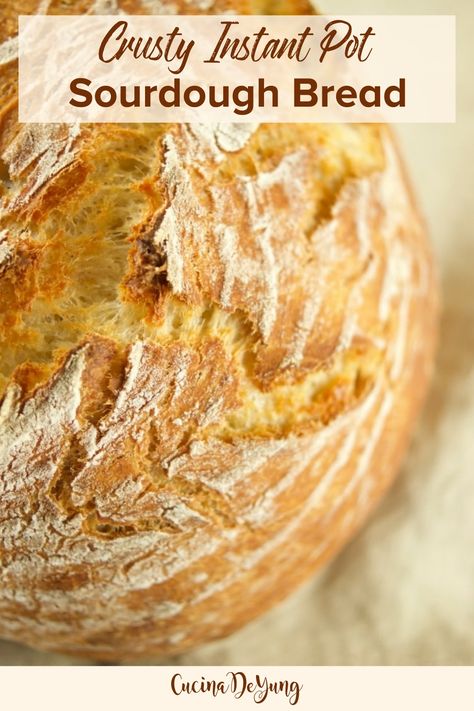 Instapot Sourdough Bread Recipe, Sourdough Instant Pot, 2 Ingredient Sourdough Bread, Homemade Bread Instant Pot, Crock Pot Sourdough Bread, Instant Sourdough Bread, Instapot Bread Recipe Easy, Instant Pot Bread Recipes Easy, Instant Pot Recipes Bread