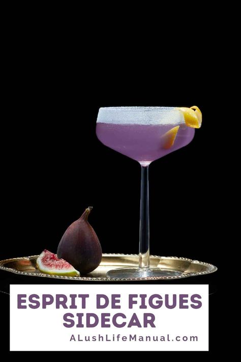 A gorgeous take of the classic Sidecar cocktail recipe using Esprit de Figues, the ‘world’s first’ fresh fig liqueur! Fig Liqueur Cocktail, Fig Liqueur, Sidecar Cocktail, Bourbon Cocktail Recipe, Rum Cocktail Recipes, Gin Cocktail Recipes, Vodka Cocktails Recipes, Orange Twist, Bourbon Cocktails