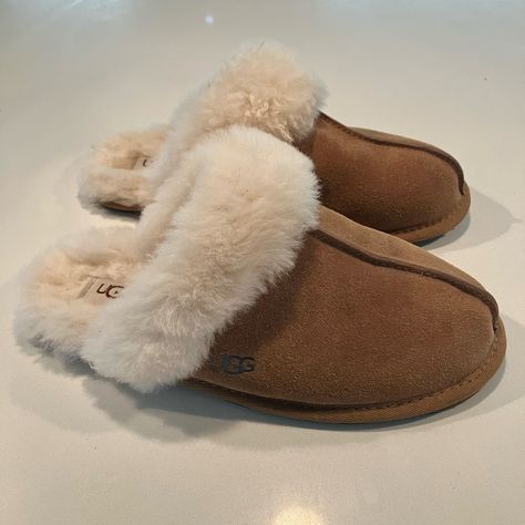 Ugg “Scuffette” Slippers. Authentic Chestnut Color With Cream Color Fur. Never Worn, In Perfect Condition. Size: 39 Ugg Scuffette Slippers Outfit, Fur Uggs, Ugg Scuffette Slippers, Nike Winter Jackets, Uggs Slippers, England Autumn, Cute Uggs, Slippers Outfit, Ugg Scuffette