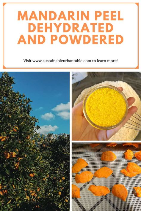 Candied Mandarin Peel, Dehydrate Mandarin Oranges, Mandarin Peel Uses, Preserved Mandarins, Preserving Mandarin Oranges, Dehydrated Mandarin Oranges, Dehydrate In Oven, Yule Activities, Orange Peels Uses