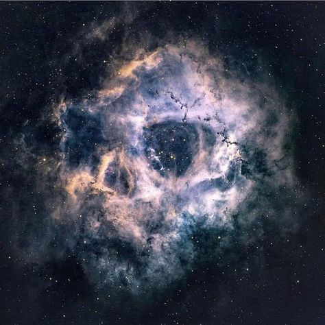 The Rosette Nebula, some say depicts a human skull. Rosette Nebula, Human Skull, Human, On Twitter, Twitter