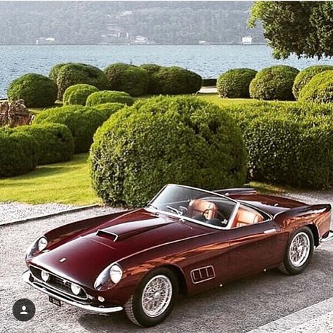 Ferrari 250 GT Ferrari 250 Gt California, Old Vintage Cars, Ferrari 250, Classic Sports Cars, Ferrari Car, Classy Cars, Ferrari 458, Pretty Cars, Italian Cars