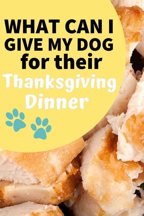 thanksgiving with dogs, thanksgiving dinner recipe, dog food recipe Dog Thanksgiving Dinner, Homemade Dog Food Vet Approved, Foods Dogs Can Eat, Thanksgiving Foods, Dog Biscuits Homemade, Dog Thanksgiving, Thanksgiving Recipe, Thanksgiving Dinner Table, Spoiled Dogs