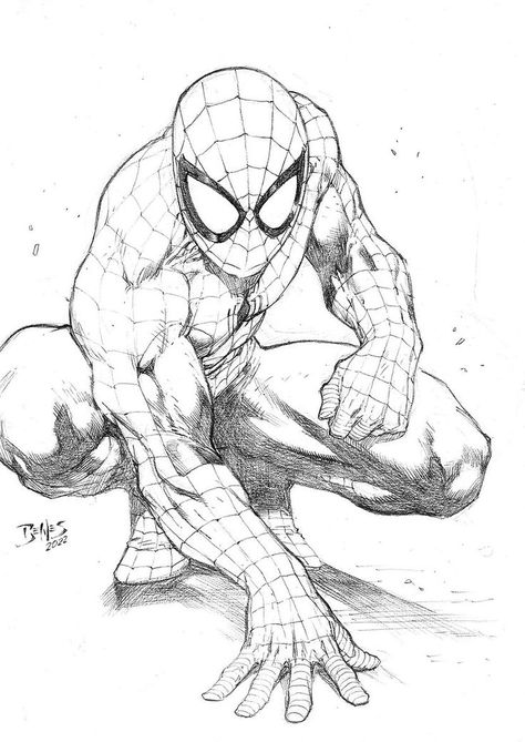 Spiderman Ink Drawing, Spiderman Sketch Poses, Spiderman Drawing Sketches Pencil, Spiderman Comic Drawing, Spiderman Comic Art Sketch, Sketsa Spiderman, Marvel Comics Art Sketch, Spiderman Pencil Drawing, Spiderman Art Drawing