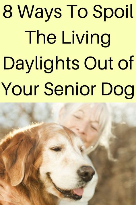 How To Spoil Your Dog, Older Dogs Care Tips, Senior Dog Care Tips, Senior Dog Activities, Senior Dog Bucket List, Elderly Dog Care Tips, Dogs Last Day Ideas, Dog Last Day, Senior Dog Care