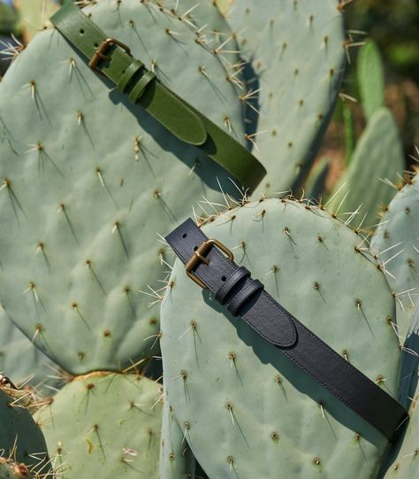 Belts Photoshoot, Cactus Photoshoot, Belt Photography, Leather Photoshoot, Photographer Ideas, Content Inspiration, Fashion Still Life, Eco Products, Test Shoot