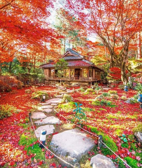 Japanese Mural, Autumn Scenes, Aesthetic Japan, Shiga, Red Leaves, Japan Photo, World Photography, Japanese Painting, Flowers Nature