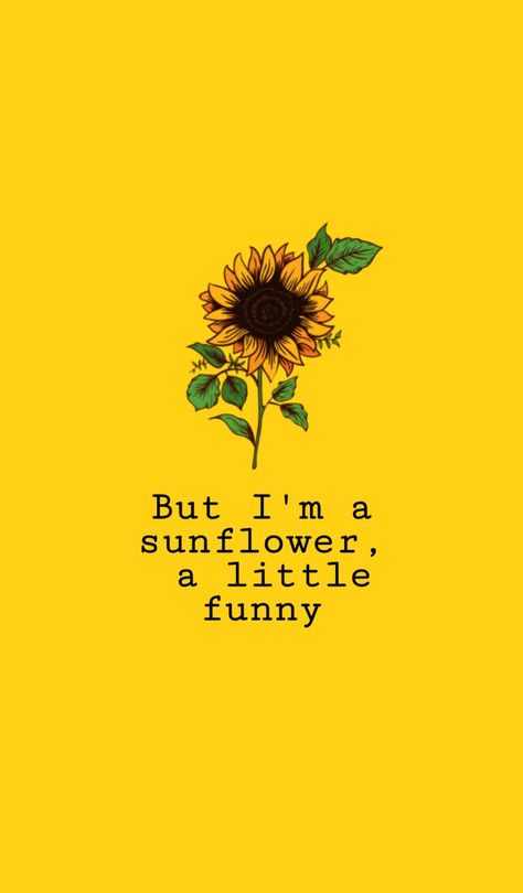 A SUNFLOWER wallpaper with a phrase from the movie "Sierra Burguess Is A Loser", available in NETFLIX Sunflower Quotes, Soothing Quotes, Inspirational Verses, Sunflower Wallpaper, Funny Wallpaper, Cute Shorts, Wallpaper Quotes, The Movie, Verses