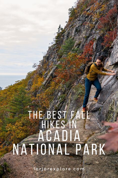 Hiking Acadia National Park, Acadia National Park Fall, Mountain Top View, Fall Hikes, Acadia National Park Maine, Mount Desert Island, Maine Vacation, Fall Hiking, Desert Island