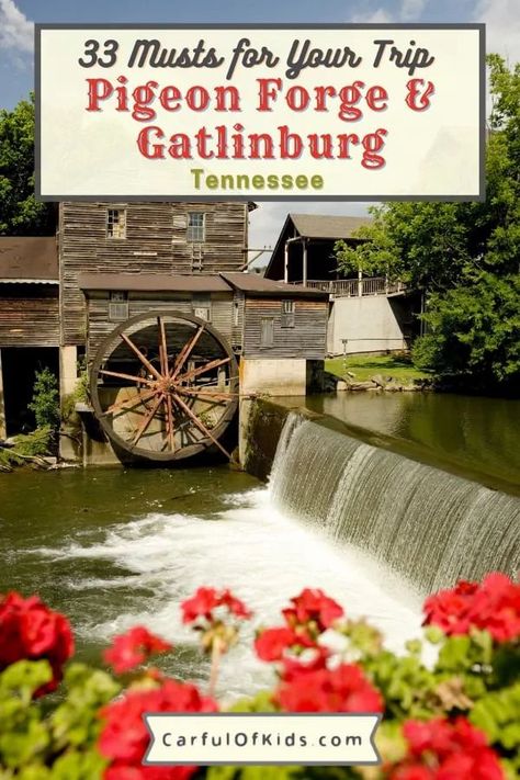 What To Do In Tennessee, Ober Gatlinburg Tennessee, Gaitlandburg Tennessee, Gatlinburg Tennessee Things To Do In, Dollywood Trip, Dollywood Tennessee, Tennessee Family Vacation, Dollywood Park, Gatlinburg Tennessee Vacation