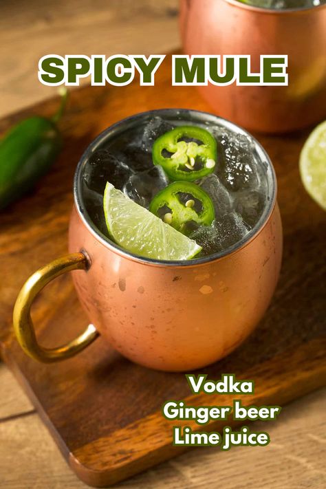 Turn up the flavor with the Spicy Mule, a cocktail that brings heat and refreshment together. Featuring jalapeños, lime, vodka, and ginger beer, it’s the perfect blend of spice and zest. Save this pin to make your next cocktail night unforgettable! Spicy Mule, Mule Variations, Moscow Mule Variations, Bay Breeze Cocktail, Dark Rum Cocktails, Spicy Cocktails, Peach Vodka, Vodka Lime, Refreshing Recipes