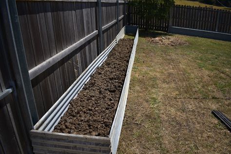 Raised Bed Gardening, Building Raised Beds, Raised Bed Garden, Corrugated Iron, Courtyard Gardens, Homestead Gardens, Raised Bed, Metal Sheet, Garden Bed