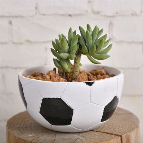 hot selling Plant Flower pots bonsai resin mini desktop Football succulents container decoration Garden pots Home decorations Container Decoration, Resin Succulent, Succulents Pots, Resin Planters, Potted Flowers, Flower Pot Crafts, Diy Flower Pots, Planter Design, Soccer Party