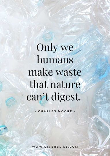 Plastic Pollution Quotes, Water Pollution Quotes, Pollution Quotes, Worst Inventions, Plastic In The Ocean, Charles Moore, Plastic Problems, Design Quotes Inspiration, Inspired Quotes