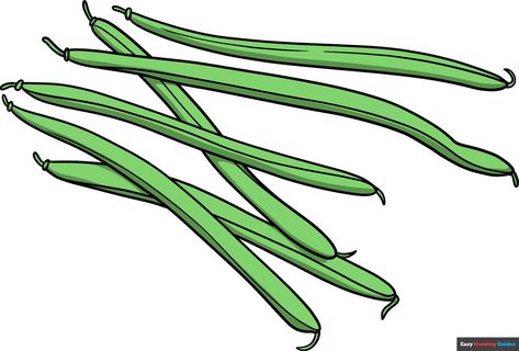 Learn How to Draw Green Beans: Easy Step-by-Step Drawing Tutorial for Kids and Beginners. See the full tutorial at https://easydrawingguides.com/how-to-draw-green-beans/ . Green Bean Drawing, Beans Drawing, Bean Drawing, Dragon Tongue Beans, Green Beans Easy, Onion Drawing, Yellow Wax Beans, Tool Crafts, Beans Image