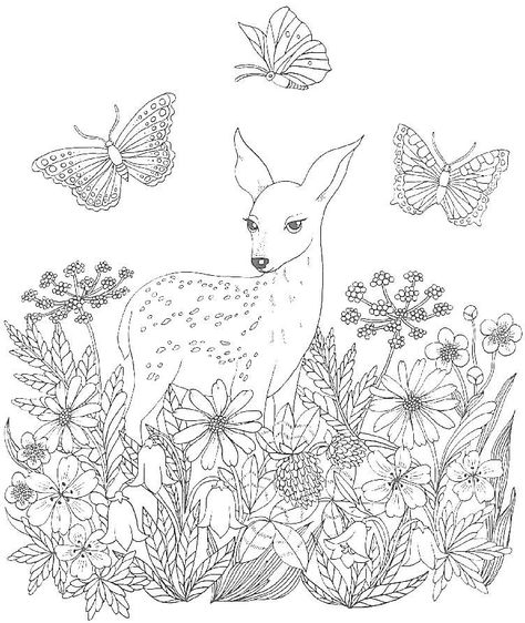 Doe in the Butterfly Meadow  line art drawing source unknown Book Page Design, Deer Coloring Pages, Adult Colouring Printables, Love Coloring Pages, Adult Coloring Designs, Animal Coloring Books, Coloring Pages For Girls, Coloring Pages To Print, Coloring Book Art