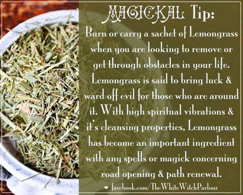 Lemongrass Magickal Properties Pagan Herbs, Magickal Tips, Road Opener, Magickal Herbs, Witchy Tips, Witch Herbs, Magic Herbs, Kitchen Witchery, Magical Herbs