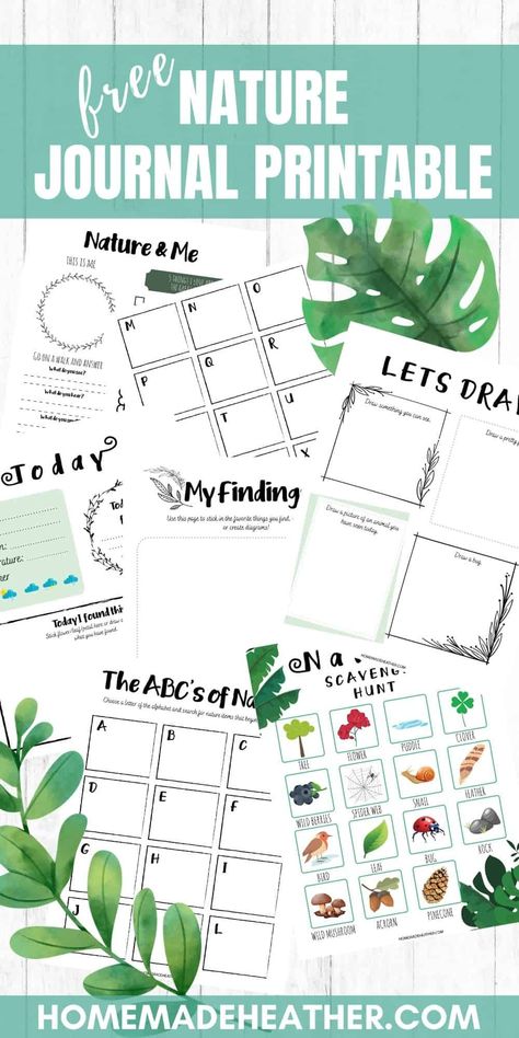 Nature Journal Prompts, Homeschool Nature, Homeschool Nature Study, Nature School, Free Nature, Nature Camping, For Journal, Boredom Busters, Fun Worksheets