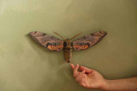 Shop — Moth On The Wall Bedroom Tree, Moon Moth, Faux Taxidermy, White Witch, Orange Butterfly, White Butterfly, Soft Sculpture, The Wall, Moth