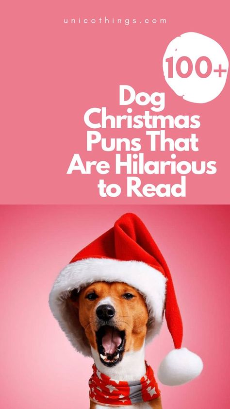 Fetch the holiday cheer with these funny and hilarious Dog Christmas puns to bring smiles and laughter to your festive celebrations. Funny Christmas Cards With Dogs, Funny Pet Christmas Cards, Dog Christmas Puns, Christmas Dog Quotes, Christmas Cards With Dogs, Funny Dog Christmas Cards, Christmas With Dogs, Dog Xmas Cards, Cards With Dogs