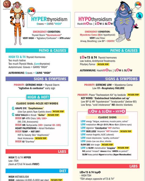 Simple Nursing on Instagram: “New Endocrine cheat sheets & videos coming this fall term. ⁣ Please consider sharing & following us @simplenursing.com_ ⁣ How do I…” Endocrine Nursing, Endocrine System Nursing, Pathophysiology Nursing, Simple Nursing, Nursing School Studying Cheat Sheets, Med Surg Nursing, Nurse Study Notes, Nursing Mnemonics, Nursing Student Tips