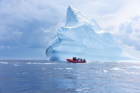 20 Things to Do During Iceberg Festival in Newfoundland | To Do Canada Newfoundland Icebergs, Viking Village, Viking Life, Purple Cow, Scavenger Hunt For Kids, St Anthony, Newfoundland And Labrador, A Thousand Years, Walking Trails