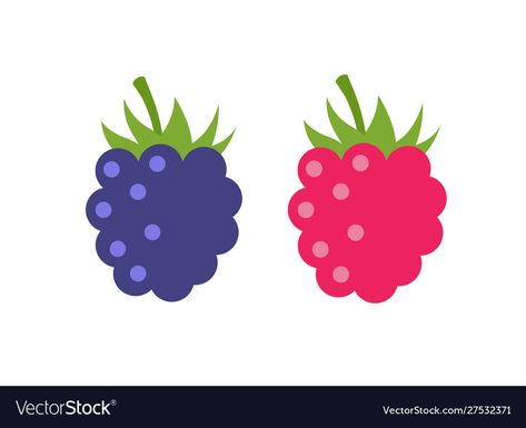 Blackberry Drawing, Blackberry Illustration, Raspberry Drawing, Raspberry Illustration, Berry Illustration, Berries Illustration, Lemonade Design, Raspberry Pattern, Colors For Toddlers