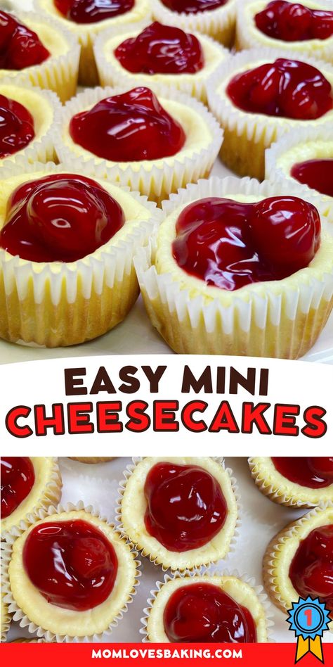 Cheesecake Dessert Ideas, No Bake Cheesecake Easy, No Bake Cheesecake Dip, Cheesecake Easy No Bake, No Bake Cheesecake Bars, Easy Mini Cheesecakes, Soup Shooters, Mini Cherry Cheesecakes, Cheesecake Dip Recipe