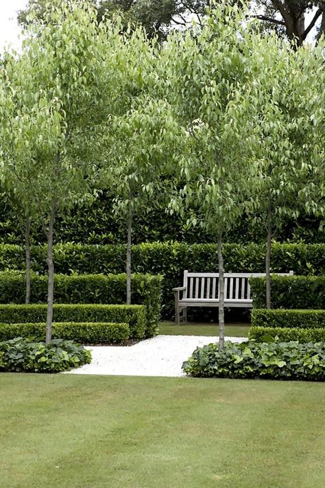 ... Layered Hedge Landscaping, Layered Hedge, Peter Fudge, Layered Garden, French Formal Garden, Landscape Fence, Relaxing Garden, Formal Garden Design, Garden Hedges