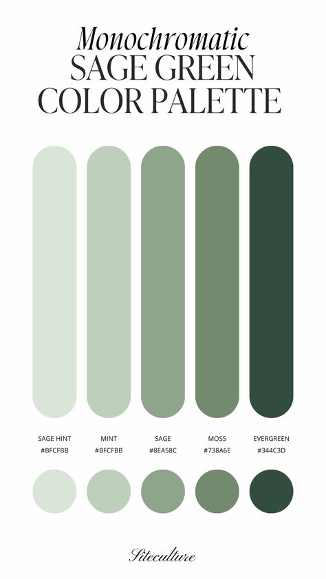 5 Gorgeous Sage Green Color Palettes You Need to See - Siteculture Earth Green Colour Palette, Wedding Palette Sage Green, Sage Green Shades Colour Palettes, Colors Green Palette, Green Interior Colour Palette, Color Palette Of Green, Jade Colour Palette, Sage Paint Palette, Colors That Look Good With Sage Green