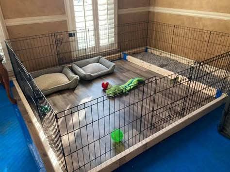 Puppy Welping Room, Dog Fostering Room, Whelping Area Ideas, Puppy Litter Set Up Ideas, Feeding Multiple Dogs, Indoor Dog Enclosure, Litter Of Puppies Pen, Puppy Litter Play Area, Dog Den Ideas