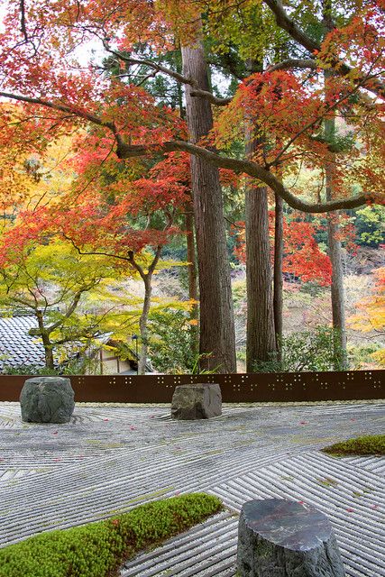 DSC_0112 Kyoto, Japan: Hoshinoya Kyoto Grounds | TuAnh Nguyen | Flickr Hoshinoya Kyoto, Wedding Mood Board, Wedding Mood, Japanese Garden, Pretty Places, Kyoto, Travel Photos, Mood Board, Japan