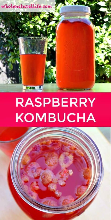 Learn how to make raspberry kombucha, a healthy probiotic drink that's cheap and easy to make at home! Strawberry Kombucha, Second Ferment Kombucha, Diy Kombucha, Kombucha Drink, Kombucha Flavors, Kombucha Recipe, Homemade Kombucha, Probiotic Drinks, Healthy Probiotics