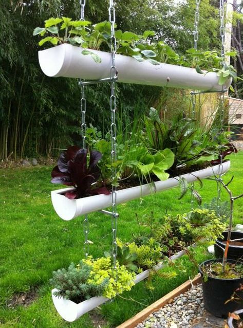 Covered Patio Garden Ideas, Plantarea Legumelor, Diy Gutters, Gutter Garden, Gardens Of Babylon, نباتات منزلية, Have Inspiration, Hydroponic Gardening, Hanging Garden