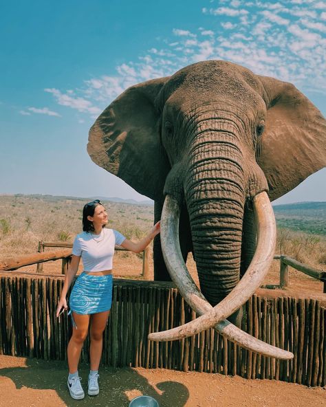 Girl touching elephant in South Africa Pose With Elephant, Pictures With Elephants, South Africa Outfits, Elephant Interaction, African Safari Photo Ideas, South Africa Instagram, Elephant Family Photography, Elephant Camp, African Elephant Photography