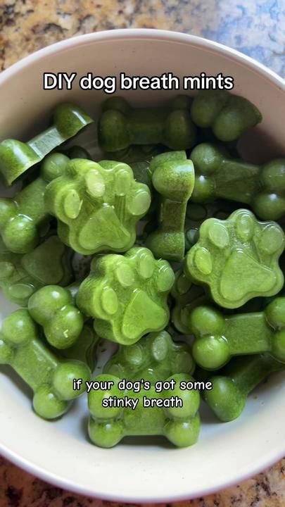 Dog Breath Mints, Dog Treats Homemade, Foods Dogs Can Eat, Pet Treats Recipes, Dog Treats Homemade Easy, Easy Dog Treat Recipes, Frozen Dog Treats, Breath Mints, Dog Biscuit Recipes