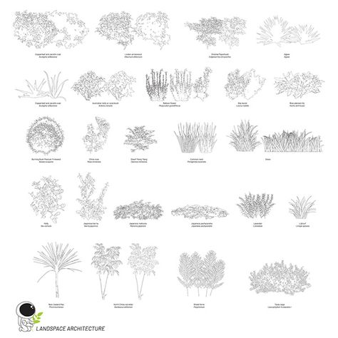 Tree Elevation, Vector Landscape Illustration, Silhouette Architecture, Landscape Architecture Diagram, Book Portfolio, Store Architecture, Vector Landscape, Interior Architecture Drawing, Vector Trees