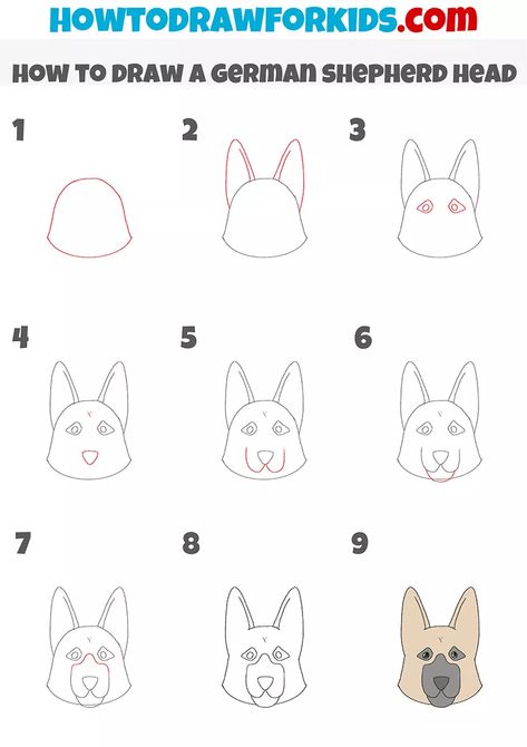 How to Draw a German Shepherd Head - Drawing Tutorial For Kids How To Draw A Dog Head, How To Draw A German Shepherd Easy, How To Draw A German Shepherd, German Shepherd Doodle, German Shepherd Drawing, Shepherd Drawing, Sketching Tips, Head Drawing, Drawing Tutorial Face