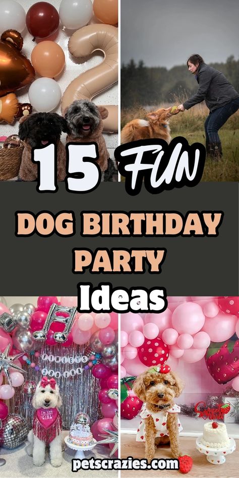 Celebrate your dog’s special day with these 15 fun birthday party ideas! 🐾 From themed treats to cute decorations, make your pup's party unforgettable. 🎉 Read more for tips! Dogs 1st Birthday Photoshoot, Puppies First Birthday, Dog Party Themes, Birthday Party For Dogs Ideas, Dog Birthday Party Ideas, Fun Birthday Party Ideas, Dog Themed Parties, Ideas For Fun, Themed Treats