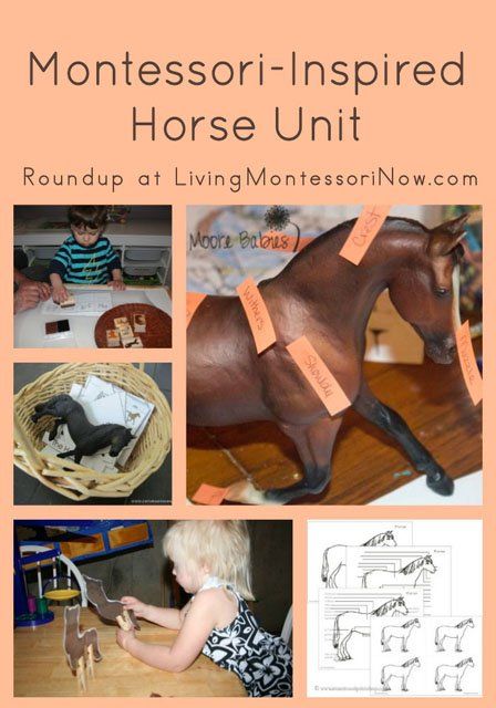 Lots of Montessori horse printables and  resources plus ideas for Montessori-inspired horse activities from around the blogosphere Horse Unit Study, Farm Unit Study, Horse Activities, Montessori Science, Horse Lessons, Farm Unit, Montessori Lessons, Farm Preschool, Horse Camp