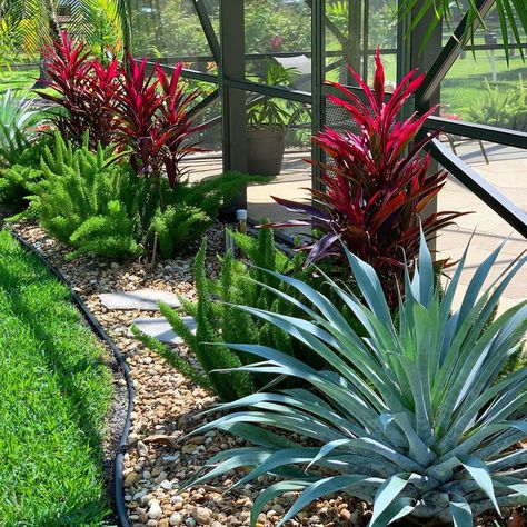 Key West Front Yard Landscaping, Florida House Landscaping, Landscaping Around Pool Screen Enclosure, Florida Landscaping Around Pool Cage, Tropical Landscaping Front Yard Florida, Low Maintenance Florida Landscaping, Simple Florida Landscaping, Pool Hedge, Yard Corner Landscaping