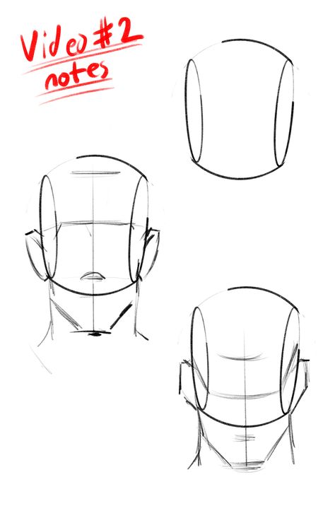 Male Face Reference Drawing Front View, Front Face Reference Drawing, Face Guidelines Drawing, Head Structure Drawing, Head Anatomy, Profile Drawing, Drawing Tutorial Face, Face Drawing Reference, Manga Drawing Tutorials