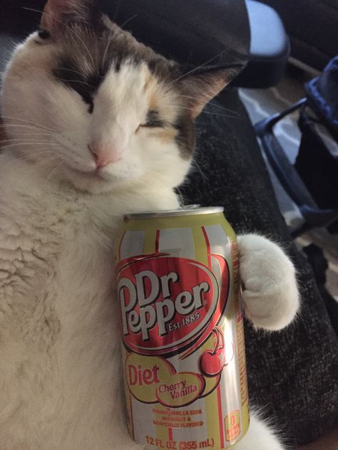 Gato para soda pop Diet Dr Pepper Aesthetic, Dr Pepper Pfp, Dr Pepper Aesthetic, Cody Core, Doctor Pepper, Diet Dr Pepper, Soda Flavors, Dr Pepper Can, Cat Drinking