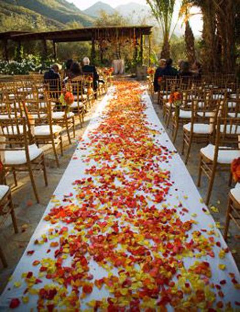 Ceremony Aisle with the colors of autumn leaves to walk on. Great for an outdoor mountain wedding. #fallwedding #fallweddingideas #fallweddingdecorations Fall Wedding Decor Ideas, Wedding Aisles, Fall Wedding Decor, Ceremony Aisle, Rustic Wedding Decorations, Wedding Decor Ideas, Outdoor Fall Wedding, Fall Wedding Flowers, Fall Wedding Decorations