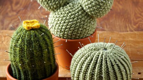 <p>We love this free pattern for a knitted cactus, and there are three designs to choose from. These wonderful woolly cacti will last much longer than the real thing – and they’re perfectly prickle-free. Lucille Randall’s three cactus designs are fun to knit, and they’ll make fantastic gifts – for Christmas, or as a housewarming present. They're knitted in the round, and you can try out different shapes too. With little crochet flowers, your cacti will bloom all year round!</p> Diy Knitting Projects, Knitted Flower Pattern, Tea Cosy Knitting Pattern, Cute Diy Projects, Simply Knitting, Cactus Pattern, Crochet Cactus, Knitting Magazine, Diy Knitting