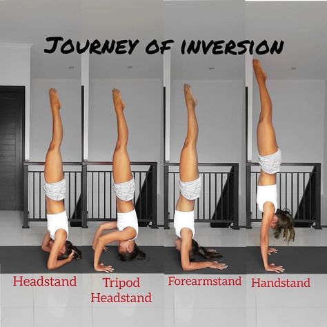 Handstand For Beginners, Handstand Workout, Handstand Training, Yoga Handstand Poses, Hata Yoga, Yoga Inspiration Photos, Yoga Inversions, Yoga Kundalini, Yoga Handstand