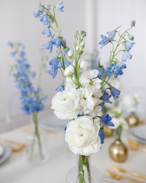 Blue & White - Floral Arrangements - Botanist Beauty (set of 8) — Paris312 Bud Vase Ranunculus, Simple Blue And White Flower Arrangements, Blue And Red Floral Arrangements, White Blue Floral Arrangement, Blue Vase White Flowers, Small Blue Flower Arrangements, French Blue Fall Wedding, Mini Floral Arrangements Bud Vases, Wedding Bouquet Centerpieces